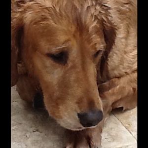 Meet your Posher, Deb