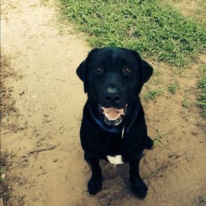 Meet your Posher, Mariah