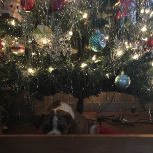 Meet your Posher, Jen