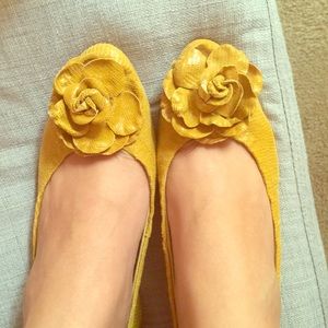 Beautiful Yellow Flats