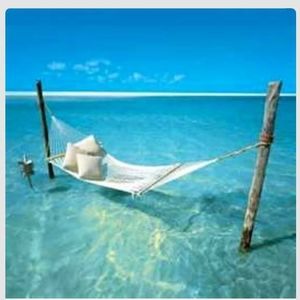 Meet your Posher, Kitty