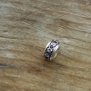 February birthstone Pandora charm