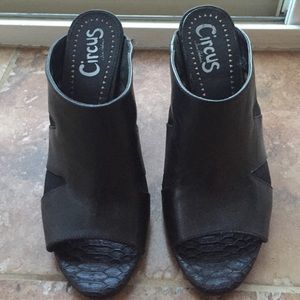 Sam Edelman Circus Mules