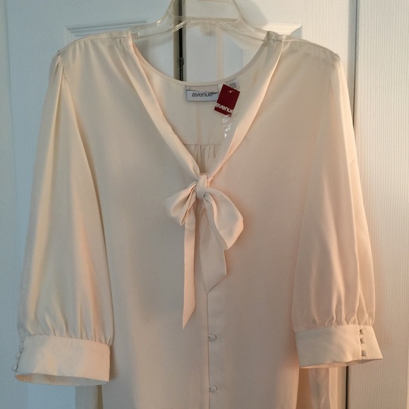 Lovely button down blouse. Size 18/20