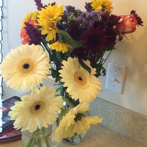 Meet your Posher, Shila - Picture 2 of 2