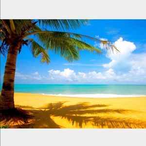 Meet your Posher, Amani