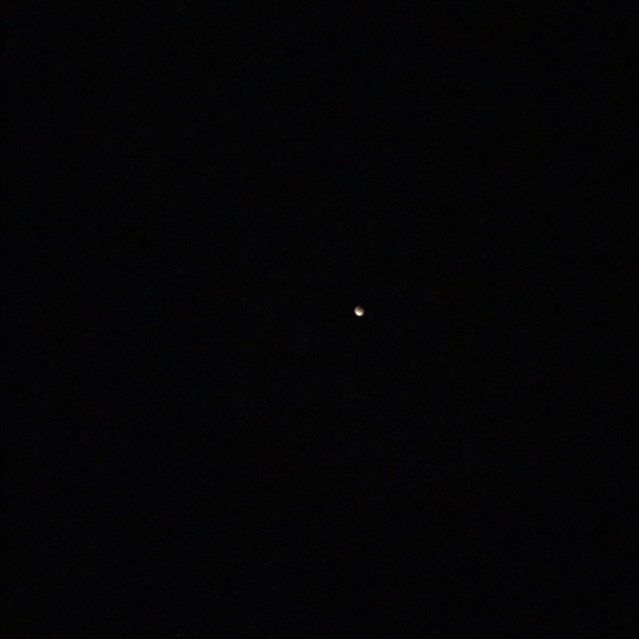 Meet your Posher, Marcus - Picture 1 of 1