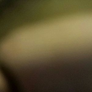 Meet your Posher, Dylan