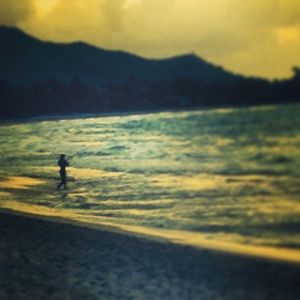 Meet your Posher, Cori