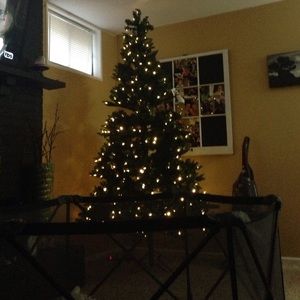 Meet your Posher, Savannah