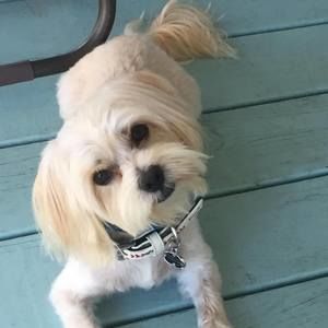 Meet your Posher, Mallory