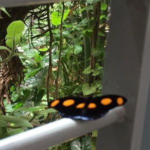 Meet your Posher, Jackie