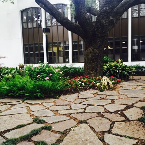 Meet your Posher, Blanca - Picture 1 of 1