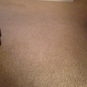 Meet your Posher, Lexi