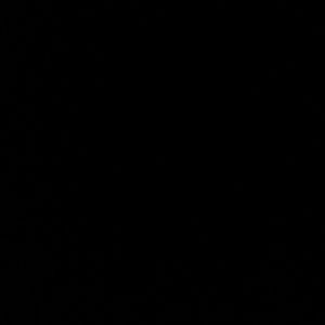 Meet your Posher, Heaven