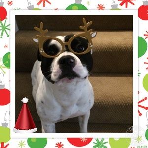 Meet your Posher, Jaclyn