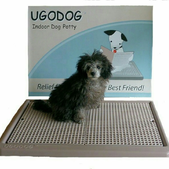 ugodog potty