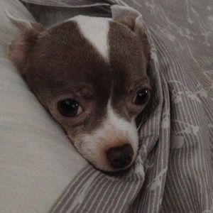 Meet your Posher, Jen