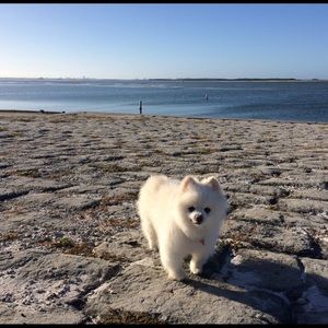 Meet your Posher, Karly