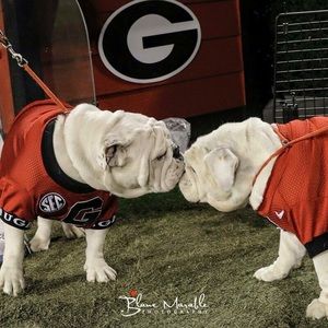 Meet your Posher, Catherine