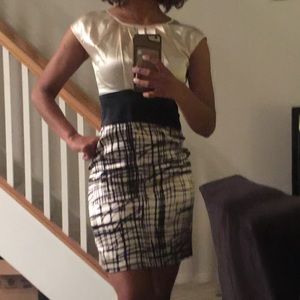 BCBG Satin Business Casual Dress in Size 2