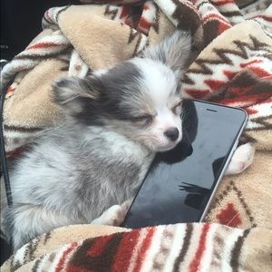 Meet your Posher, Krystal