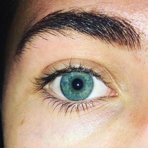 Meet your Posher, Forest