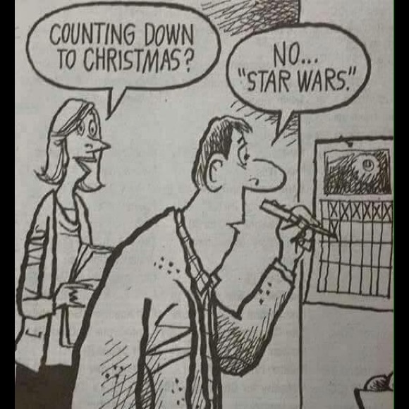 Meet your Posher, Beril - Picture 2 of 3