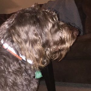 Meet your Posher, Margaret