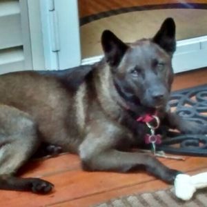 Meet your Posher, Lynn