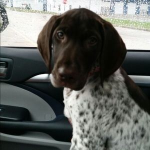 Meet your Posher, Gretchen