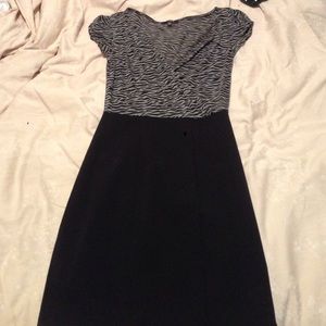 Express vneck zebra dress