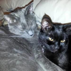 Meet your Posher, Mary