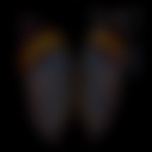 Meet your Posher, Lindsay