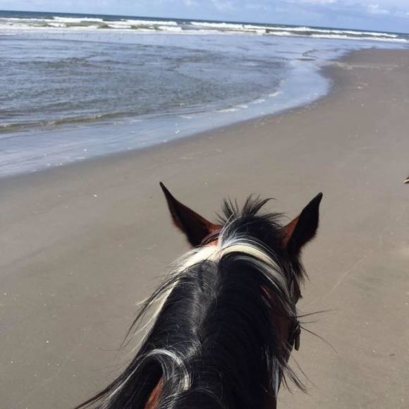 Meet your Posher, Kimberly a.