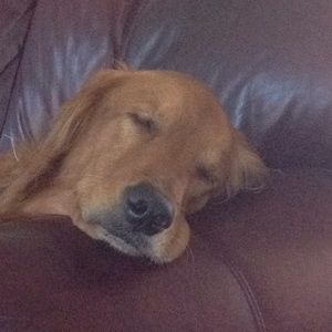 Meet your Posher, Diane