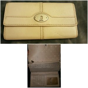 Fossil wallet-color bone