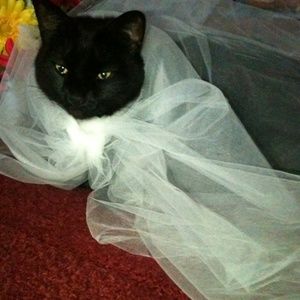 Meet your Posher, Rion