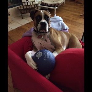 Meet your Posher, Carla