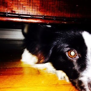 Meet your Posher, Emmalee