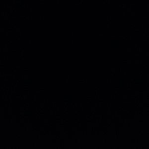 Meet your Posher, Trevor