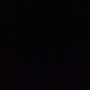 Meet your Posher, Trevor