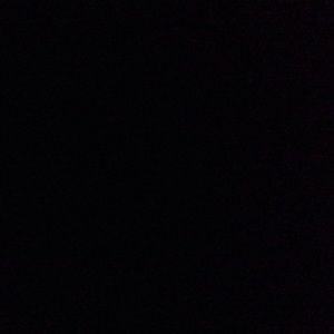 Meet your Posher, Trevor