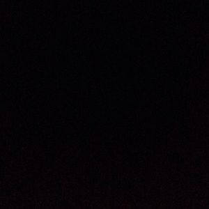 Meet your Posher, Trevor