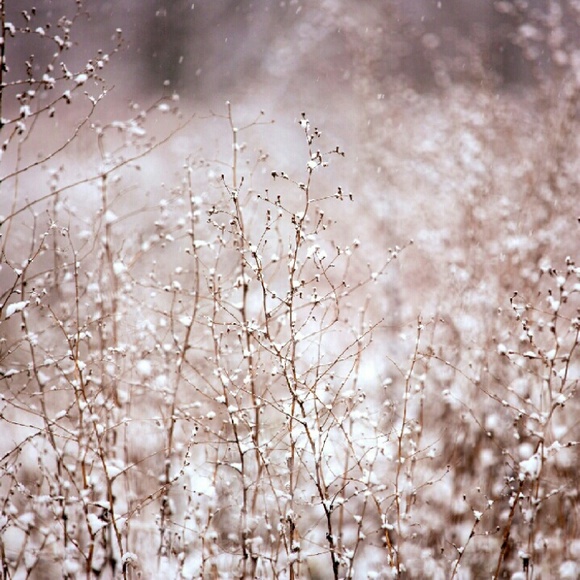 Meet your Posher, Amanda - Picture 1 of 1