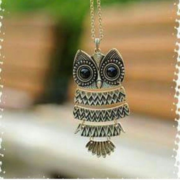 Long chain owl necklace