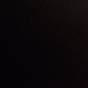 Meet your Posher, Trevor