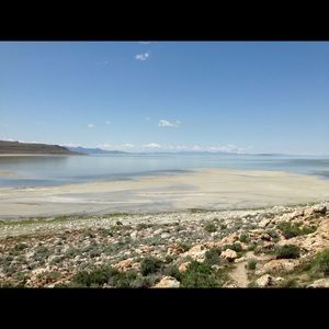 Meet your Posher, Natanee