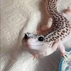 Meet your Posher, Ericka