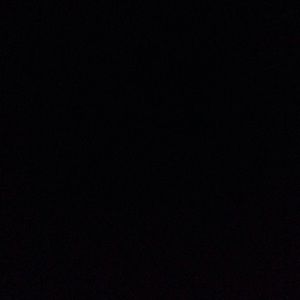 Meet your Posher, Trevor